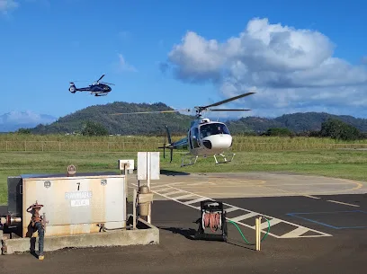 Safari Helicopter Landing